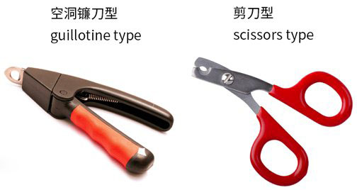 怎么帮狗狗剪指甲 给狗狗剪指甲方法