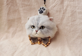 金吉拉猫抓家具怎么办 猫咪抓家具解决办法