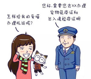 宠物铁路托运步骤