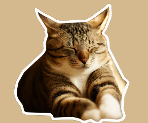 猫眼睛发炎怎么办