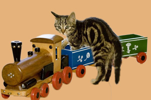 猫玩具有哪些