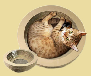 如何自制猫抓板