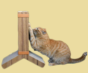 猫抓板怎么做