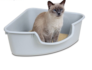 猫砂怎么用