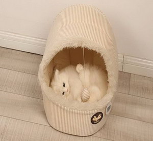 猫窝怎么清理
