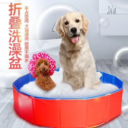 给狗洗一次澡多少钱