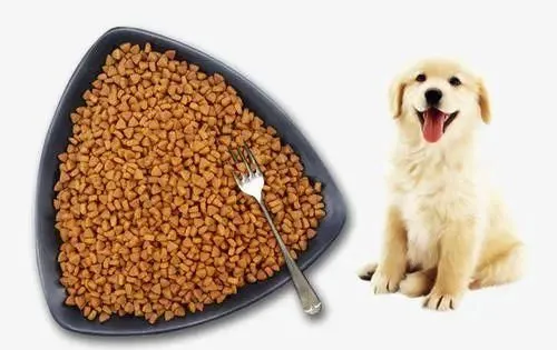 狗粮吃多少比例