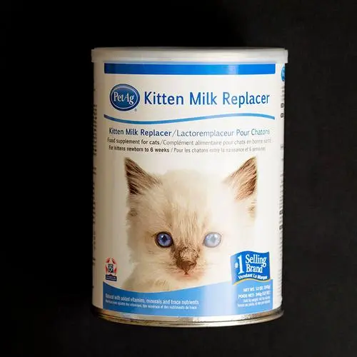 猫奶粉一般多少钱