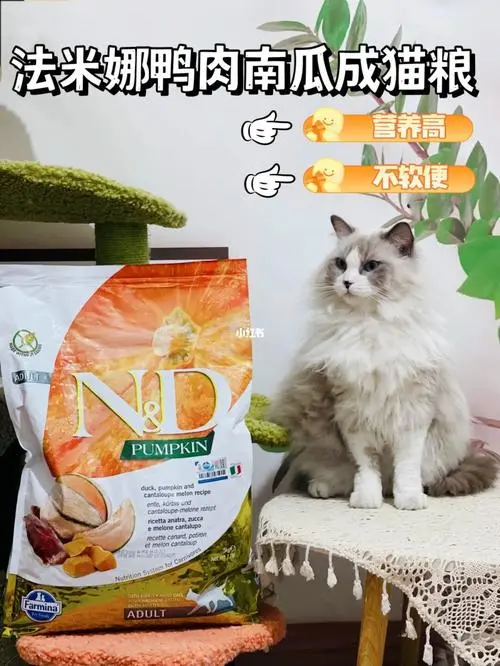 布偶猫猫粮吃多少是最适宜的？