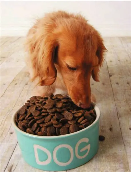 狗狗一天需要吃多少狗粮？