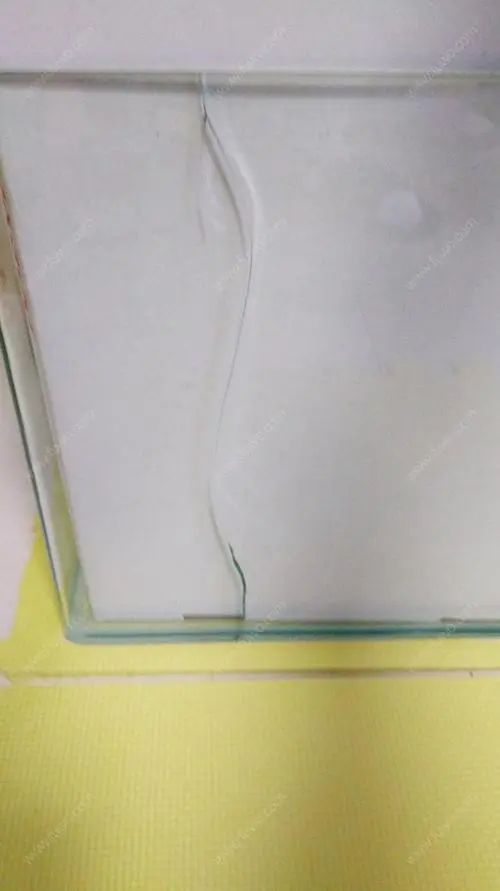 玻璃缸漏水怎么快速修复 玻璃鱼缸漏水用什么胶粘最好