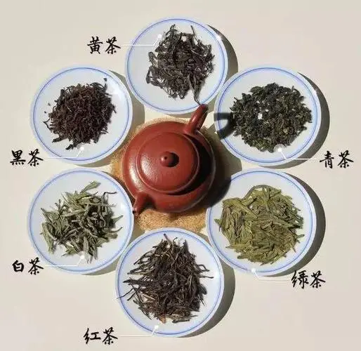 茶的品种及其口感——哪个品种最好喝（茶哪个品种最好喝）