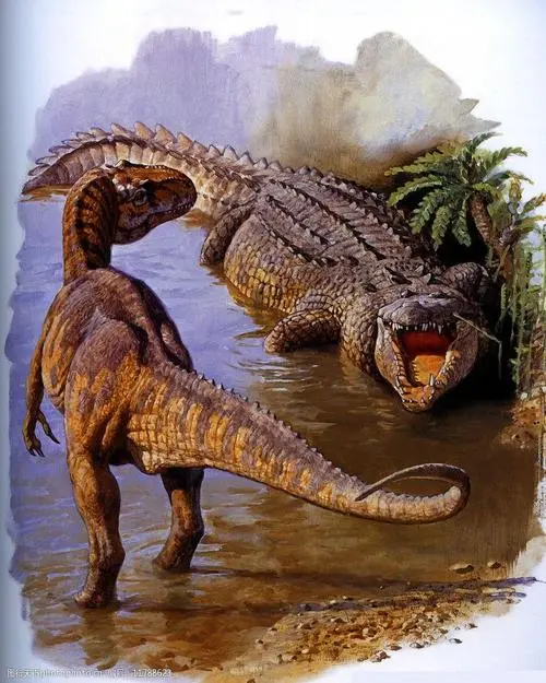 鳄鱼恐龙：探索古老巨兽的世界（鳄鱼恐龙的图片）