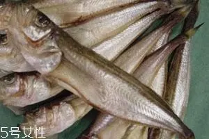 黑线飞狐鱼（学名：Salanx chinensis）是一种生活在淡水中的鱼类，属于硬骨鱼纲的鲤科。其身体呈纺锤形，长