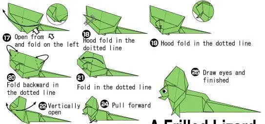 折纸伞蜥蜴 折纸伞蜥蜴教程