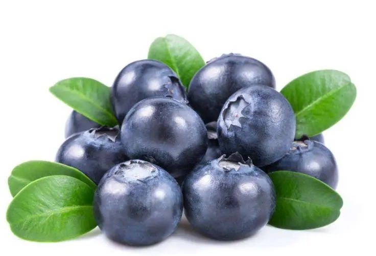 吃蓝莓大便会黑吗？解析蓝莓对大便的影响
