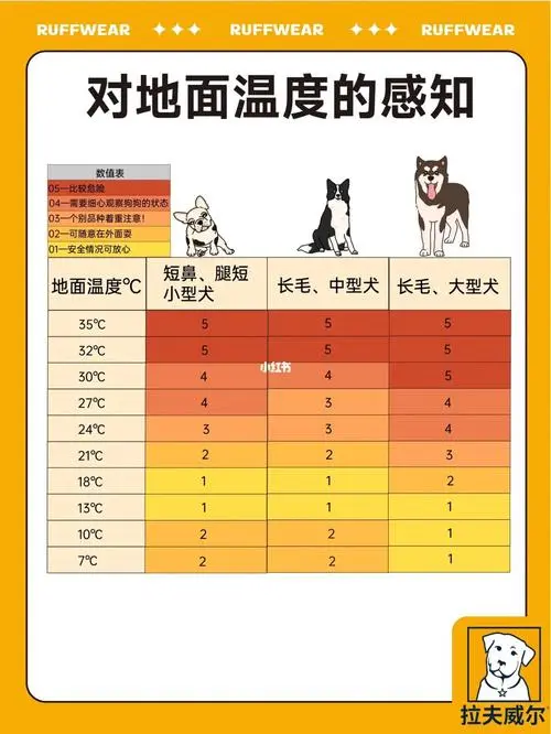 狗的体温正常范围和相关问题探讨