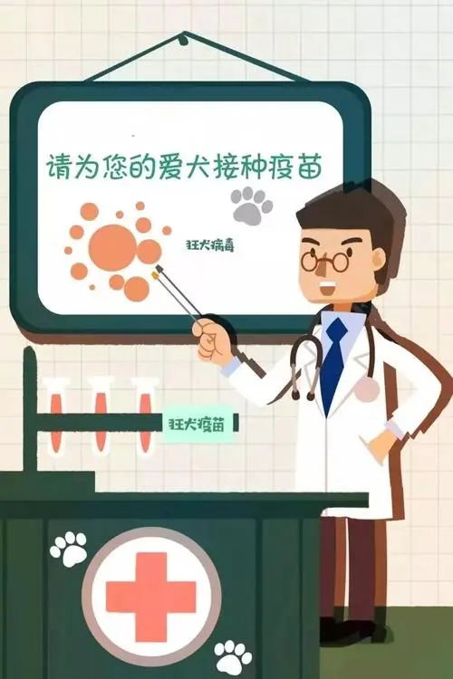 狗痘疫苗接种指南，保护你的爱犬免受病毒感染