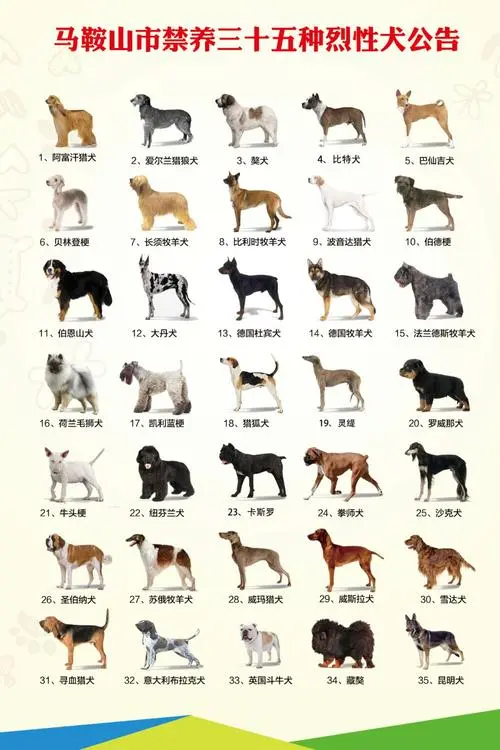 烈性犬有哪些种类？