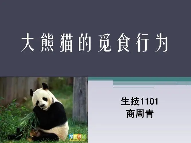 熊猫的食物及其重要性