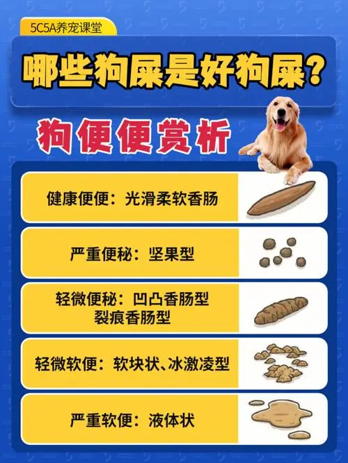 怎样处理狗狗拉肚子的问题？