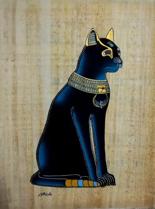 埃及猫神的品种（埃及猫神是什么品种）