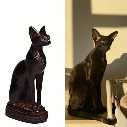 埃及猫神像寓意 埃及猫神像寓意什么
