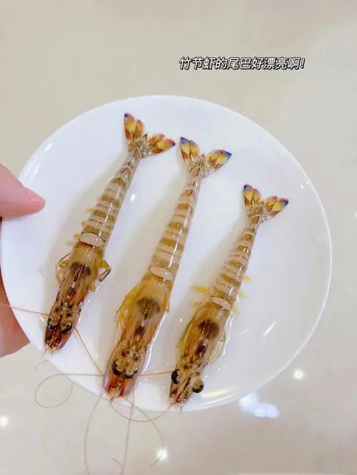 斑节虾 VS 竹节虾：谁更出色？（斑节虾和竹节虾哪个更好）