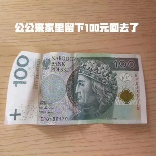 波兰100元等于多少人民币 波兰100元等于多少人民币