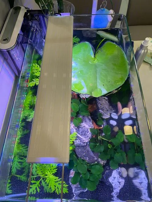 玻璃小鱼缸安装图示 玻璃鱼缸安装视频教程