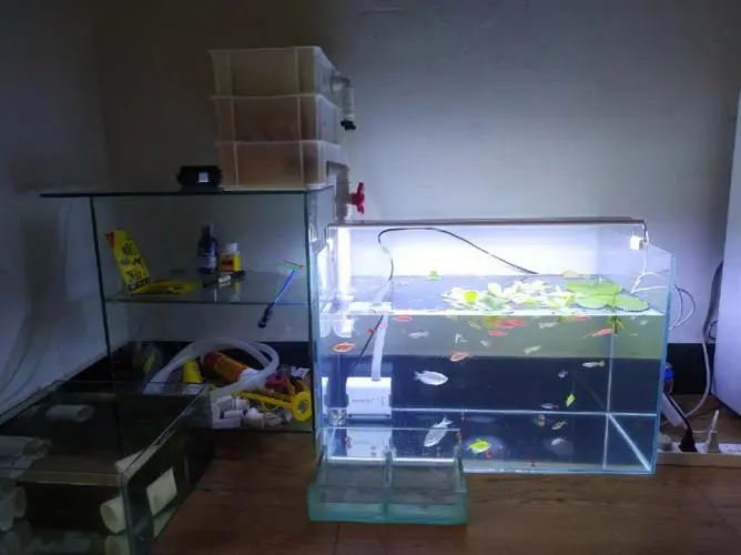 玻璃鱼缸过滤制作方法 玻璃鱼缸过滤制作方法视频