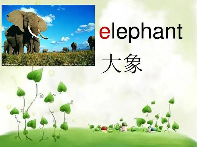 大象的英文是什么？（大象用英语怎么讲）