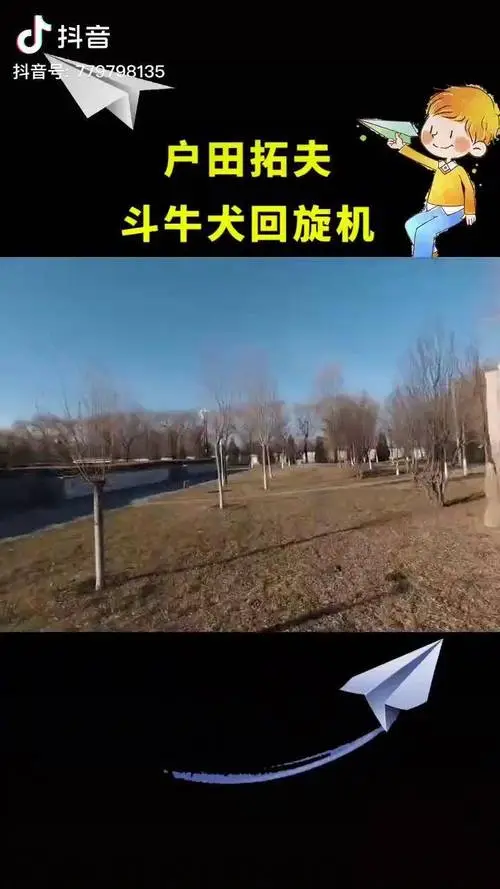 斗牛犬纸飞机视频：一个令人惊叹的狗狗智力展示（斗牛犬纸飞机视频）