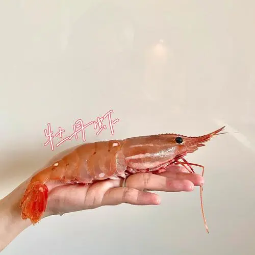 红魔虾和牡丹虾的区别（红魔虾和牡丹虾区别）