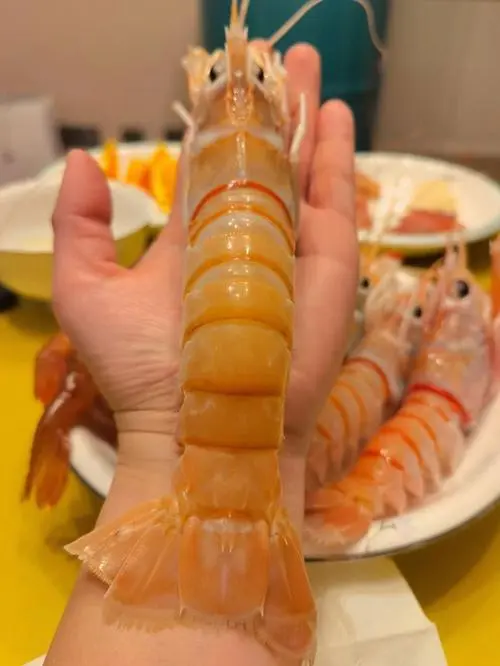 红魔虾、牡丹虾和鳌虾是几种常见的虾类海鲜，它们各自拥有独特的口感和味道，成为人们餐桌上的美味佳肴。本