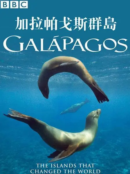 加拉帕戈斯群岛纪录片推荐 加拉帕戈斯群岛旅游12天价格