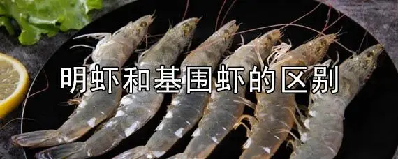 基围虾和明虾的区别图 基围虾和明虾的区别图片