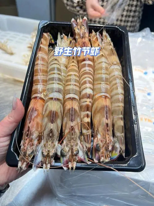 基围虾与竹节虾，哪个更大？（基围虾和竹节虾哪个大）