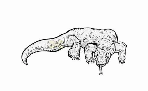 科莫多巨蜥的简笔画 科莫多巨蜥的简笔画怎么画