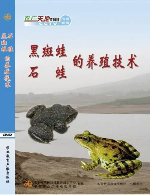 农广天地：探秘石蛙养殖的全过程（石蛙养殖视频 农广天地）