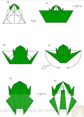 如何折纸树蛙（树蛙怎么折）