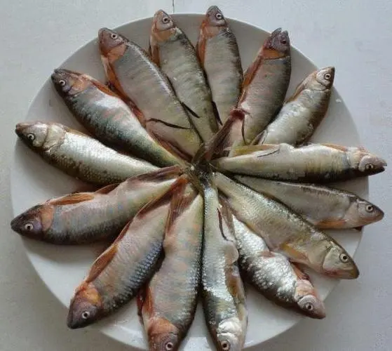 如何制作美味简单的乌鳢鱼菜肴？（乌鳢鱼怎么做好吃又简单）