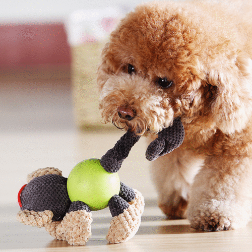 十大最聪明的犬玩具（十大最聪明的犬玩具图片）