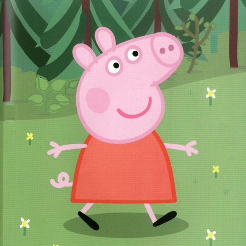 《小猪佩奇》：小时候的粉色猪动画片（小时候粉色的猪的动画片）