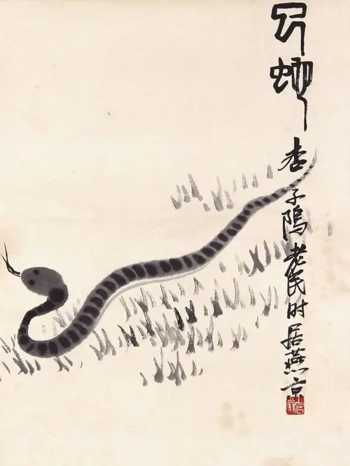 中国的蛇108种图片齐白石画蛇 中国蛇的图片