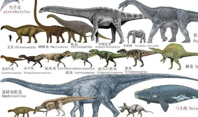 50种恐龙名称和图片看很大恐龙50个 50种恐龙名称和图片