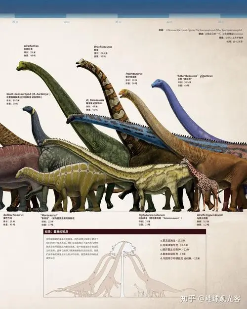 50种恐龙名称及图片介绍（50种恐龙名称和图片介绍）