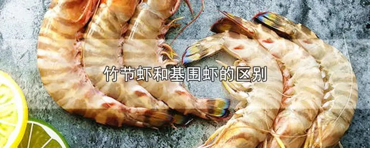竹节虾和基围虾的区别图片对比 竹节虾和基围虾的区别