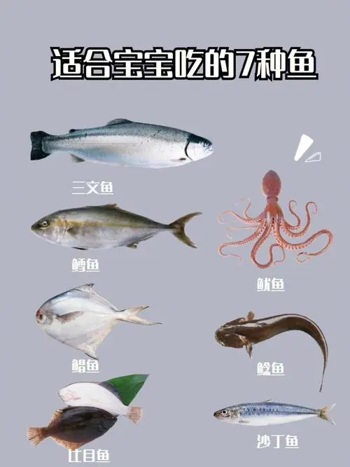 最适合孩子吃的八种鱼 最适合孩子吃的八种鱼图片